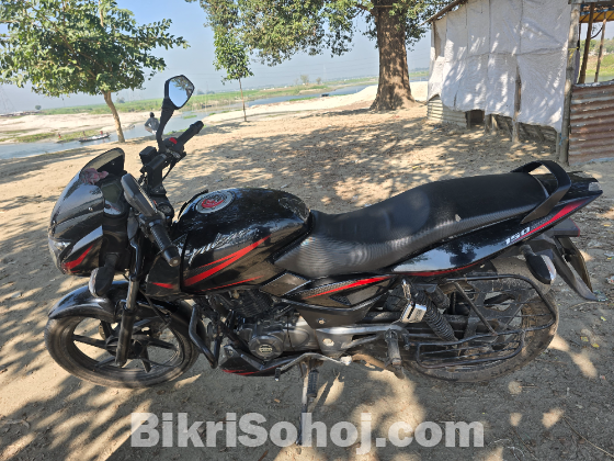 BAJAJ PULSAR  SD- 2021